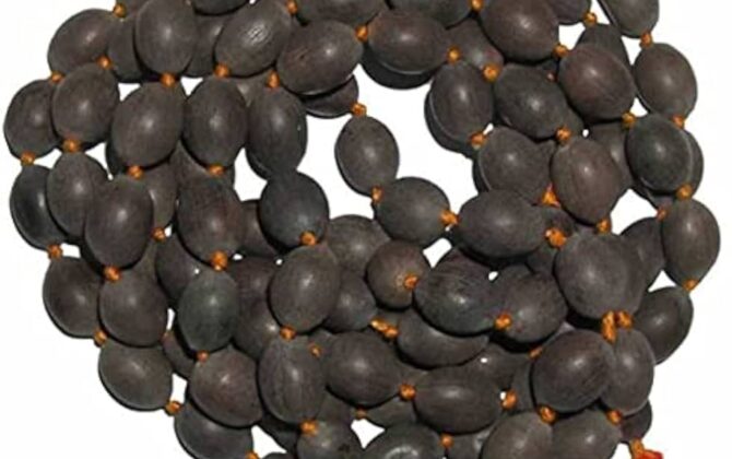 Kamal Gatta Mala By Jindal Mala